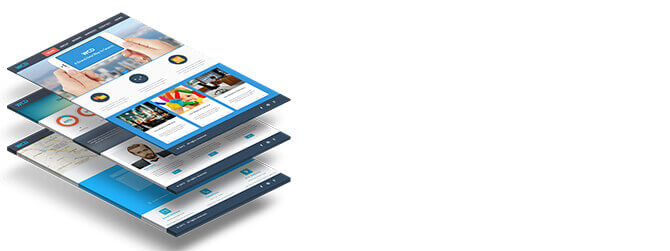 custom web design dhaka